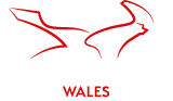 Motorcycle Training Wales Logo